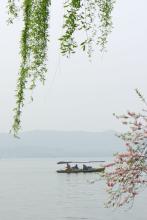 �Ÿ߰˶��ļ�