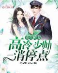 重生鲜妻:高冷少帅消停点