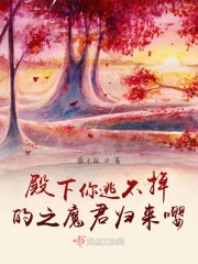 �������Ӳ�����֮ħ��������