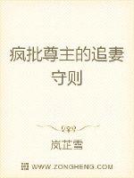 ����������׷������