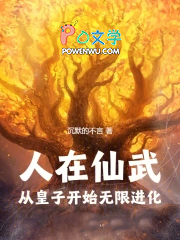人在仙武,从皇子开始无限进化