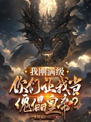 我刚满级,你们让我当傀儡皇帝?