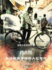 四合院:从当医生开始的火红年代