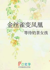 ��˿ȸ����