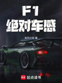 F1:绝对车感