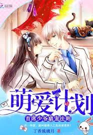 萌爱计划:首席少爷猎宠法则