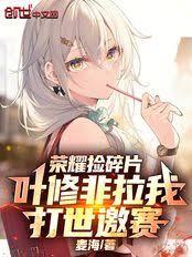 荣耀捡碎片,叶修非拉我打世邀赛