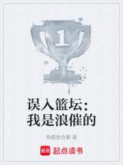 篮途闪耀,璀璨风云