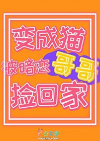 嘿,你的专属毛茸茸来啦