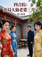 四合院:开局天仙老婆三儿子