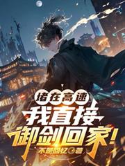 堵在高速,我直接御剑回家!