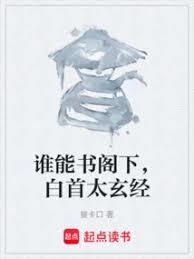谁能书阁下,白首太玄经