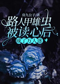 ·�˼��۳汻���ĺ����������