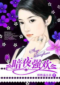 豪门总裁的小猎物:暗夜强欢